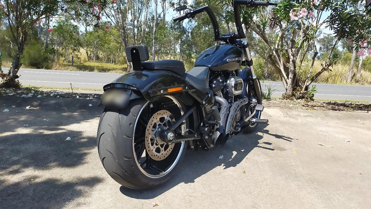 Sissy bar best sale harley davidson breakout