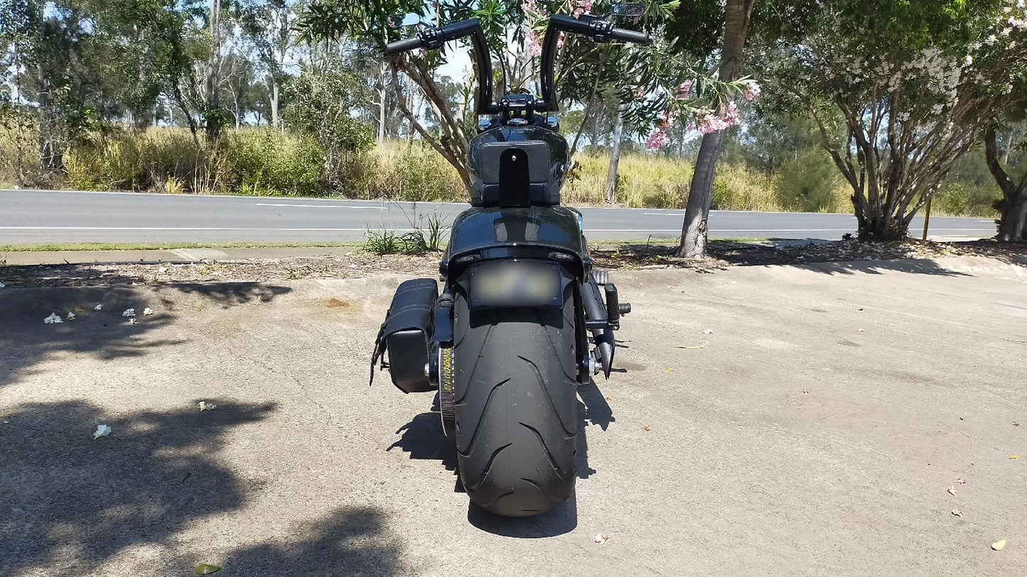 Sissy Bar - 2015 Onwards Harley Davidson Breakout